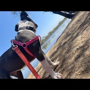 Meet your Posher, Alan